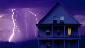 Устойчивость к неблагоприятным природным факторам